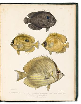 (FISH.) Lieut. Colonel R. Lambert Playfair; and Albert C.L.G. Gunther. The Fishes of Zanzibar.